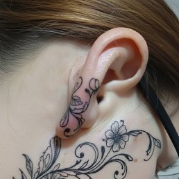 ���� �������, �������, 40 ��� - ��������� 25 ������ 2026