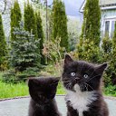 ���� Vladimir, ������, 68 ��� - ��������� 26 ������� 2023 � ������ ���� ������� ������ - ������!�