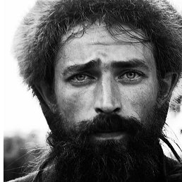 �����, 41 ���, �����������