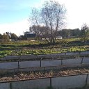  Elena, -, 76  -  8  2025