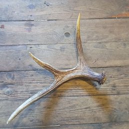 , , 27 