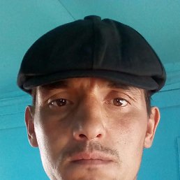 , 40, 