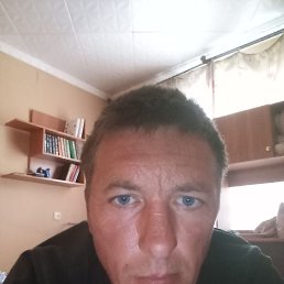 , 40, 