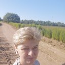 ���� �������, ����� - ��������� 7 ������� 2025 � ������ ���� ����������