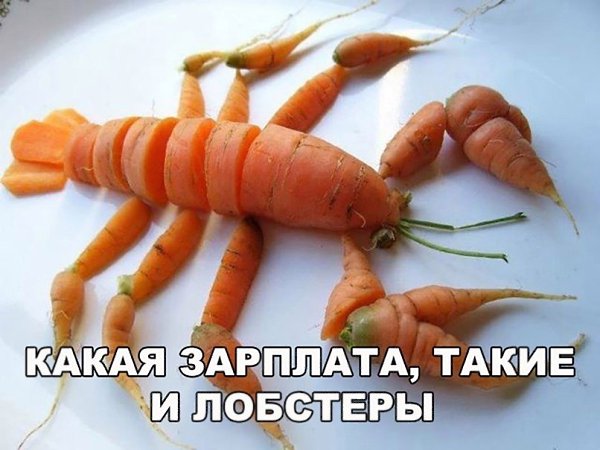 �� ����� - ������������� ������ �1 - 26 ��� 2024 � 08:42