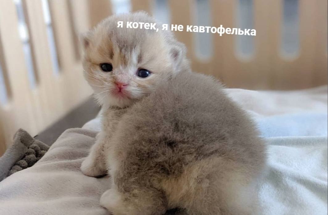    - 3  2024  21:31