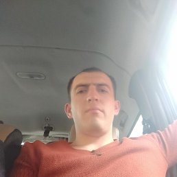 , 37, 