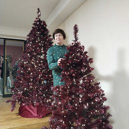 �����, ������-��-����, 55 ���