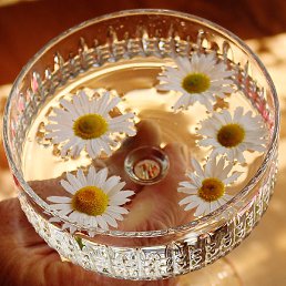 ������, ���������, 55 ���