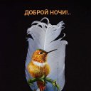 ���� ������, ������ - ��������� 15 ������ 2024 � ������ ������ ��������