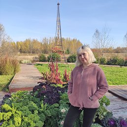 �����, �����, 44 ����