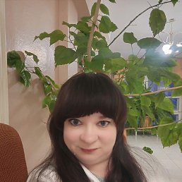 ���� �����, �����, 48 ��� - ��������� 17 ����� 2026