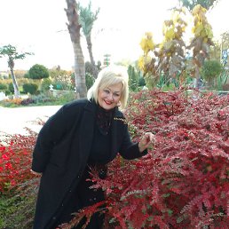 �����, ����������, 65 ���