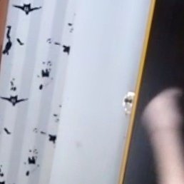 ����������, ������, 31 ���