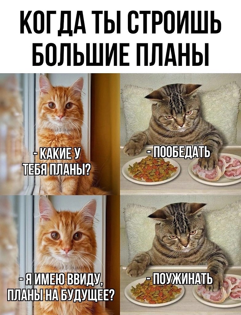       - 12  2025  14:34