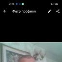 ���� ������, ������-��-����, 51 ��� - ��������� 17 ������ 2025 � ������ ���� ����������