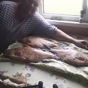  , -, 54  -  16  2024    