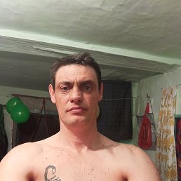 , 37, -