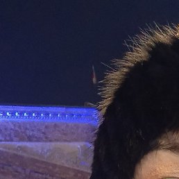 ����, ���������, 51 ���