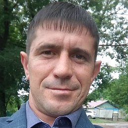 �����, �������, 37 ���