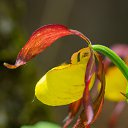 ���� ������, �������, 54 ���� - ��������� 18 ������ 2025 � ������ ����������� ������