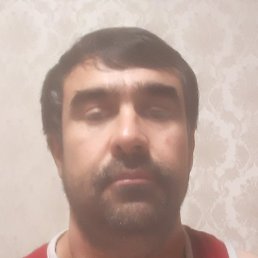 ����, ������ ��������, 41 ���