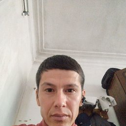 , 34, 