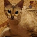 ���� Uegenia, ʸ���, 65 ��� - ��������� 6 ������� 2025 � ������ ������ ��������