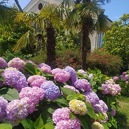 ������, ������, 48 ���