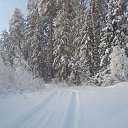 ���� ����, ������, 37 ��� - ��������� 6 ������ 2024 � ������ ���� ����������