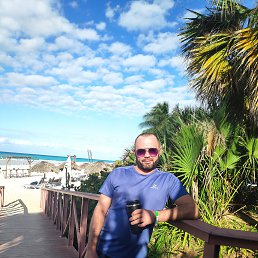 �����, 44 ����, ������������