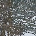 ���� ����, ������, 45 ��� - ��������� 12 ������ 2026 � ������ ������ ��������