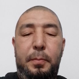 ��������� �������, ������, 51 ���