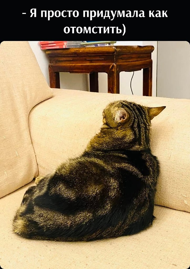       - 2  2025  21:33 - 2