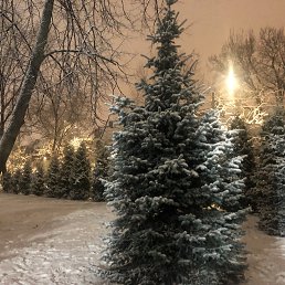 ���� A������, �����-���������, 60 ��� - ��������� 21 ������� 2024