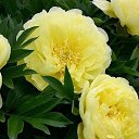 ���� ����, ����������, 25 ��� - ��������� 13 ����� 2024 � ������ ���� ����������