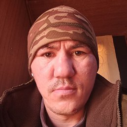 ���� �������, �����������, 36 ���