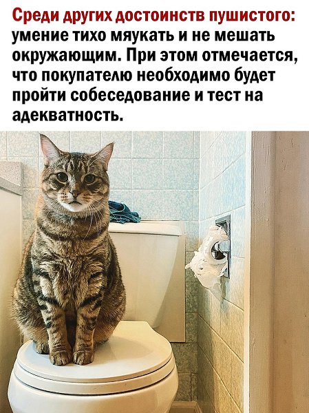    - 3