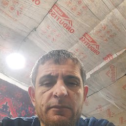 ����, 46 ���, ����