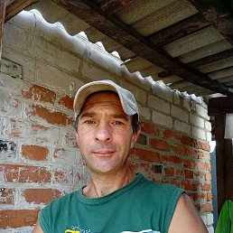 , 40, 