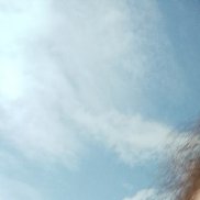 , 35 , -