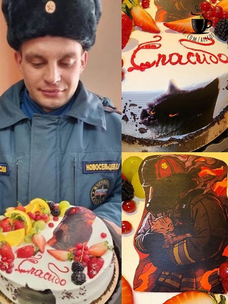 “Спасибо за моего котика!” - Новосибирская женщина испекла торт для своего героя-пожарного. В ...