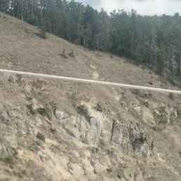 ���������, ����-���, 45 ���