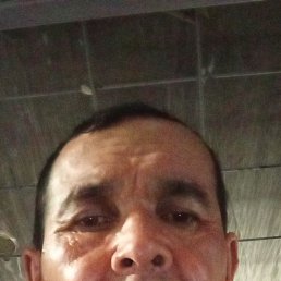 ���� ���������� ���������, �����, 48 ��� - ��������� 8 ����� 2024