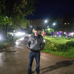 ����, �����-���������, 46 ���