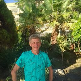 ���� �����, �����, 35 ��� - ��������� 17 ������� 2026