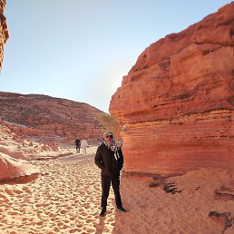 ���� ��������, ������, 40 ��� - ��������� 13 ����� 2026