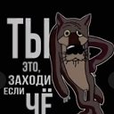 ���� ����, �����, 42 ���� - ��������� 16 ������� 2024 � ������ ���� ����������