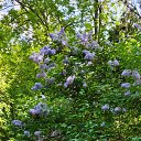 ���� �������, ������������, 63 ���� - ��������� 12 ���� 2025 � ������ ���� ����������