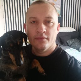 ���� �������, ������, 44 ���� - ��������� 29 ������ 2026